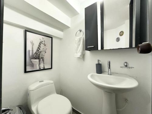 a white bathroom with a toilet and a sink at Beautiful house with a pool in Pereira in Pereira