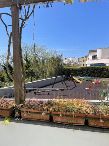 a group of potted plants sitting on a sidewalk at Ischia Casareccia in Serrara Fontana