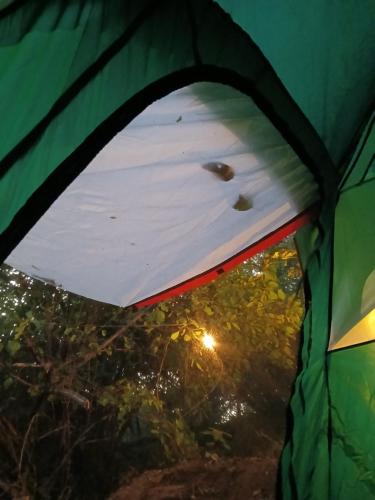 a view of the inside of a green tent at Casa chololo in Mazunte