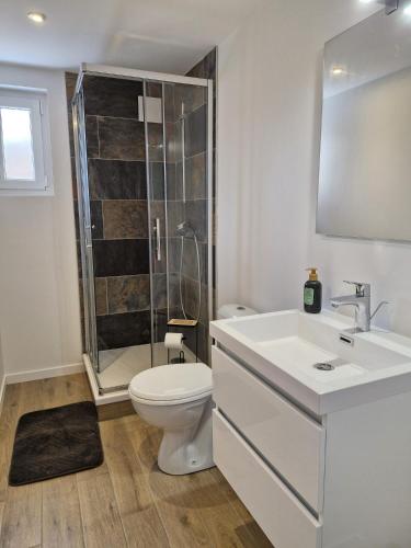 a bathroom with a toilet and a sink and a shower at Le Zénith - 3 chambres, 3 sdb, climatisé - 8 pers max - Réservation à la chambre possible - Local à vélos in Lagnieu