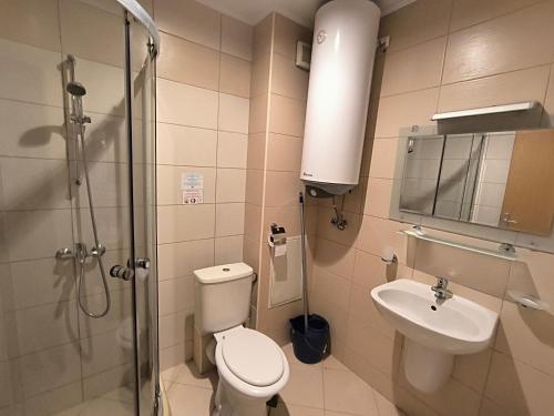 a bathroom with a toilet and a sink and a shower at Daisy Studios Harmony Hills in Rogachevo