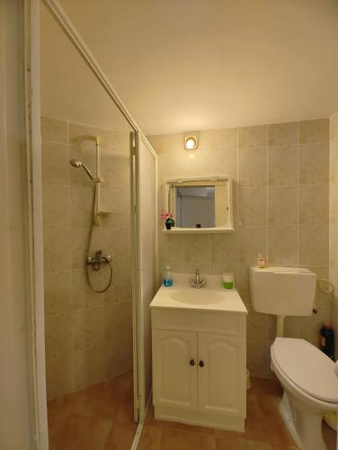 a bathroom with a toilet and a sink and a shower at Large Vacation Apartment With A Stunning View In Isfiya, Mount Carmel - דירת נופש עם נוף מדהים בעספיא in ‘Isfiyā