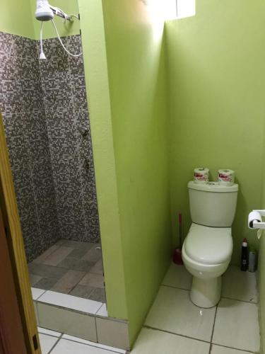 a bathroom with a toilet and a shower at 1 Bedroom Ocean View Apartment in Gouyave, Grenada in Gouyave