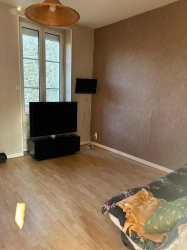 un salon avec un canapé et une télévision à écran plat dans l'établissement Grand appartement pour 4 à 7 personnes maximum, à Chef-Boutonne