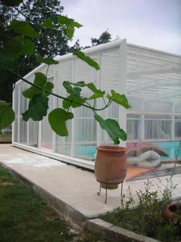 une plante dans un pot devant un bâtiment dans l'établissement Chalet charmant avec piscine partagée à Eymet, à Eymet