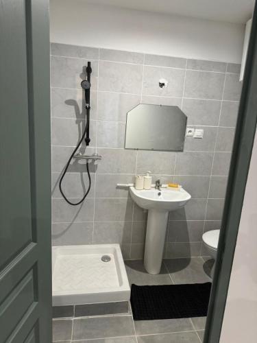 une salle de bain avec un lavabo, des toilettes et un miroir dans l'établissement Studio meublé confort Béziers, à Béziers