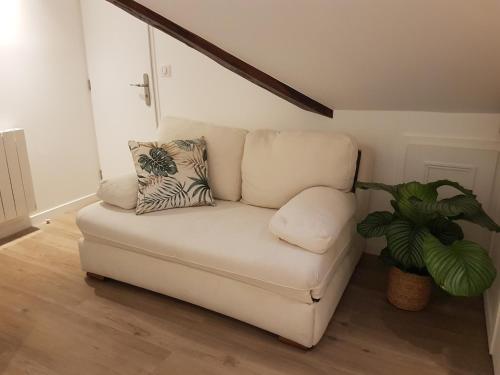a white couch in a living room with a plant at Appartement Le 5ème Ducis in Versailles