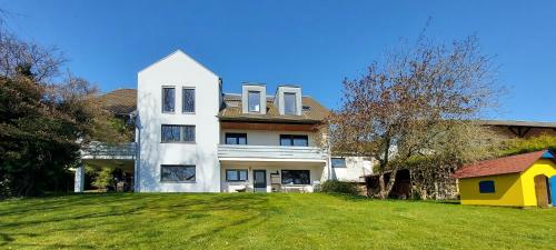 a large white house on a hill with a yard at Ferienwohnung Ragwurz in Blieskastel