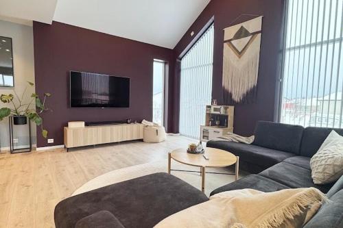 Televisyen dan/atau pusat hiburan di Modern and cozy home in Andenes