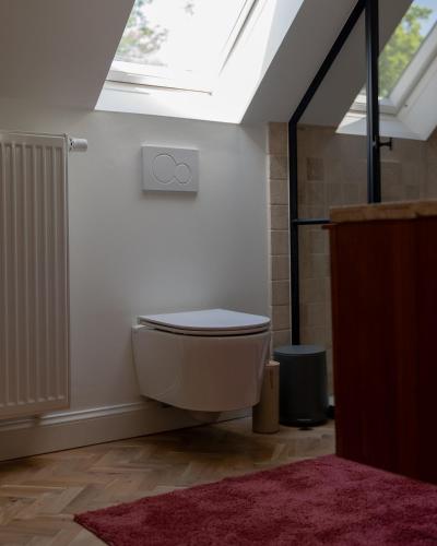 a bathroom with a toilet sitting under a skylight at Fleur de Pivoine in Sint-Martens-Latem