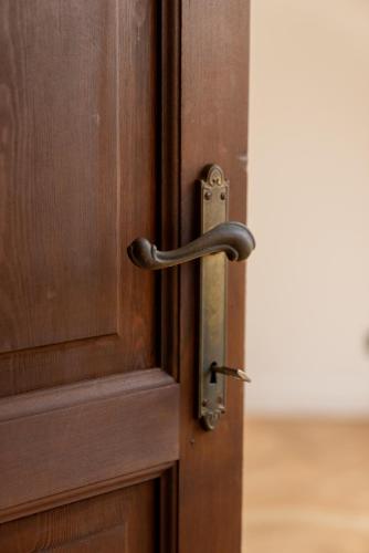 a bronze door handle on a wooden door at Fleur de Pivoine in Sint-Martens-Latem