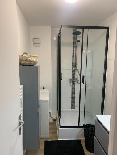 La salle de bains est pourvue d'une douche et d'une cabine de verre. dans l'établissement Très bel et spacieux appartement 66m carré, à Angoulême