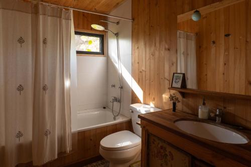 a bathroom with a toilet and a sink and a shower at Casita Boutique en Cachagua, vista al mar y calma in Cachagua