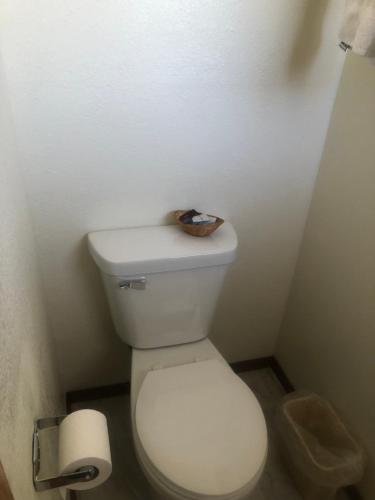 a bathroom with a white toilet with a basket on top of it at Hagman Motel in Hugoton