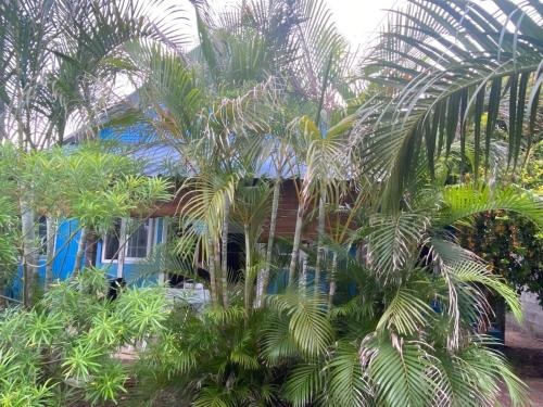 Jardí fora de Le Flamboyant