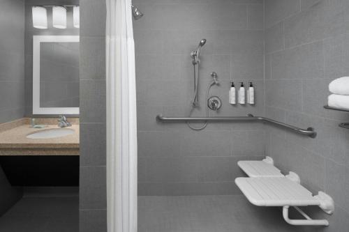 a bathroom with a shower and a toilet and a sink at TownePlace Suites by Marriott Carlsbad in Carlsbad