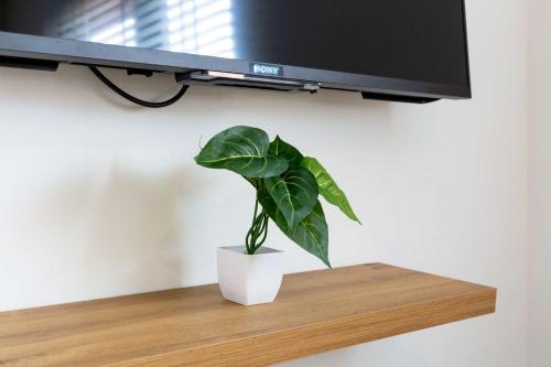 a plant sitting on a shelf under a tv at Modern and Spacious 3 Bedroom Home in Peterborough in Peterborough