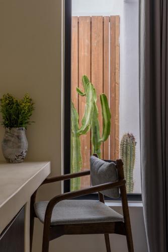 a chair sitting in front of a window with a cactus at Rocabella Mykonos Hotel in Agios Stefanos