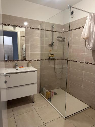 une salle de bain avec douche et lavabo dans l'établissement Appartement situé en ville, à Ajaccio
