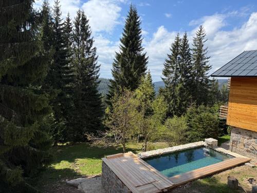 Πισίνα στο ή κοντά στο Apartmány Petr Horní Mísečky - Špindlerův Mlýn