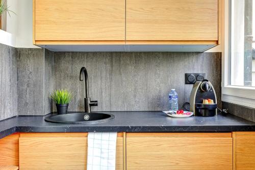 une cuisine avec un évier et un plan de travail dans l'établissement Studio Neuf et Climatise sur les Champs Elysees, à Paris