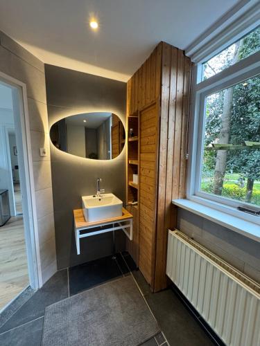 a bathroom with a sink and a mirror at Zola Lodge in Rucphen