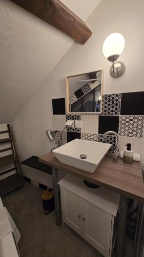 une salle de bain avec un lavabo et un miroir dans l'établissement Le Refuge des Bords de Loire, à Blois