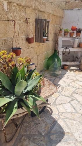 Fotografie z fotogalerie ubytování Casa Nonna Concetta v destinaci Surano