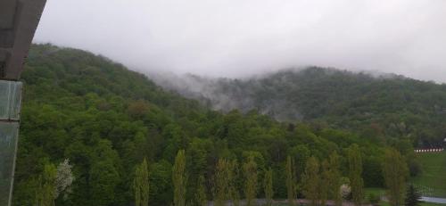 Un paisaje natural cerca del departamento