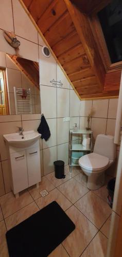 a bathroom with a toilet and a sink at Pokoje "na Pierniku" in Szczawnica