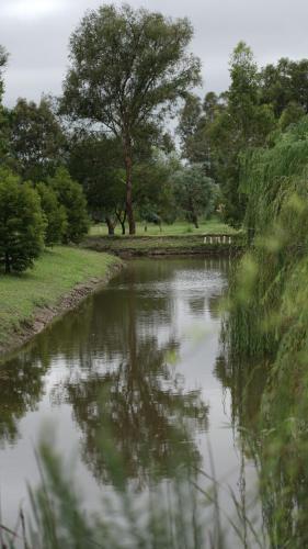 a body of water with a tree in the background at Casa Acuario in Mercedes