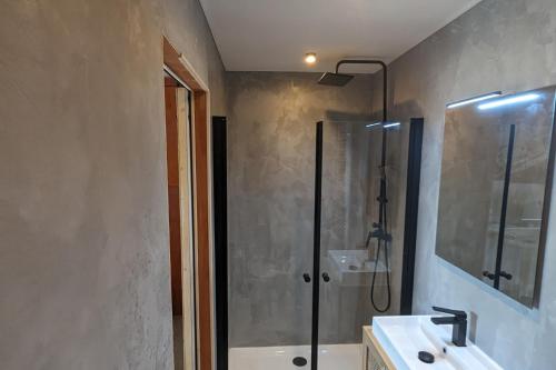une salle de bain avec douche et lavabo dans l'établissement Charming studio of 23 m in Saint-Nazaire, à Saint-Nazaire