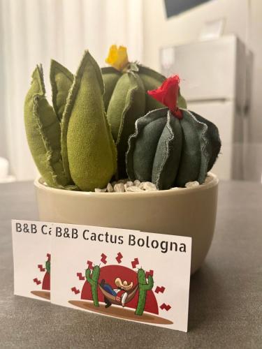 Un cactus con un cardenal encima. en Cactus Bologna Affittacamere, en Bolonia