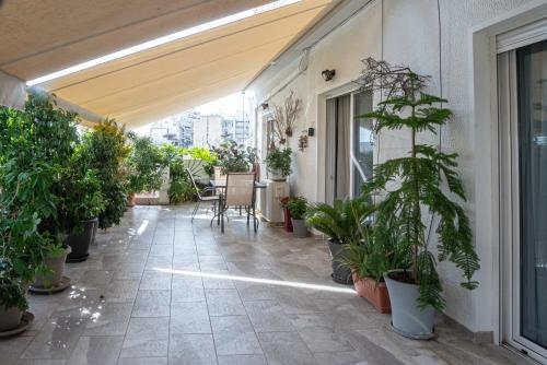 Κήπος έξω από το Forest Dreams Penthouse