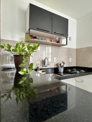 a kitchen with a sink and a plant on a counter at Apartamento Próximo ao Aeroporto e Rodoviária in Palmas