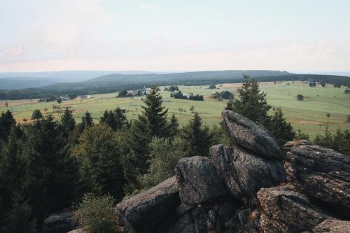 a pile of rocks in a field with trees at Glamping Na Malém Háji in Hora Svaté Kateřiny