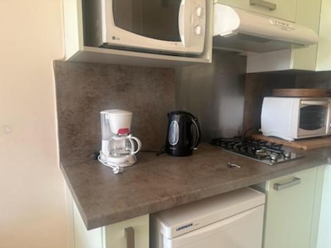 - un comptoir de cuisine avec un mixeur et un four micro-ondes dans l'établissement Appartement T2 100 m de la mer, à Argelès-sur-Mer