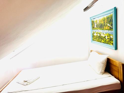 Gallery image of ZEN Eco Villa in Sfântu Gheorghe