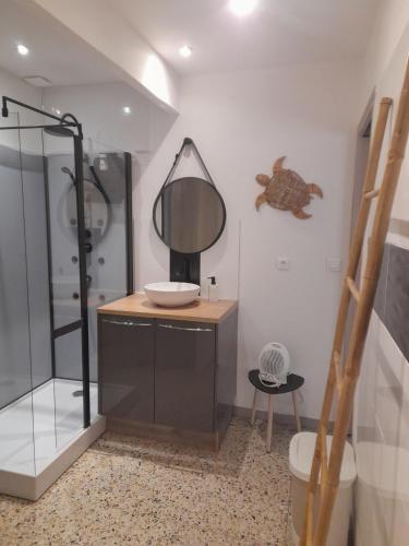 une salle de bain avec une douche avec un lavabo et un miroir dans l'établissement Maison de village rénovée au pied des alpilles, à Mollégès