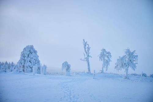 a snow covered field with trees in the distance at Glamping Na Malém Háji in Hora Svaté Kateřiny