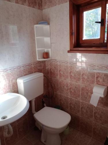 a bathroom with a toilet and a sink at Riverlyn Guest House in Ribarica