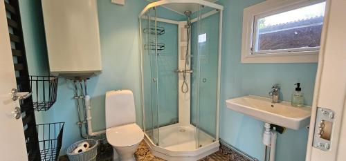 a bathroom with a shower and a toilet and a sink at Ocean Breeze next to the Beach in Beddinge Strand