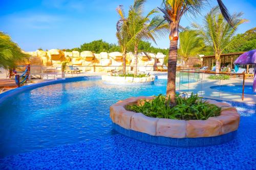 a large swimming pool with a palm tree in the middle at Laguna Beach, Brisa Marina playa Frances in Coveñas