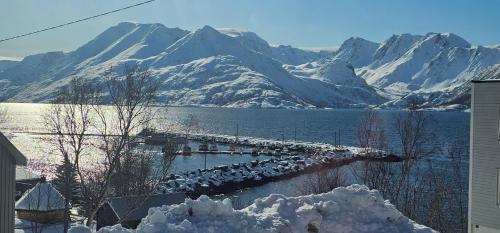 a dock in a lake with snow covered mountains at Øksfjord Hotel Norway in Øksfjord