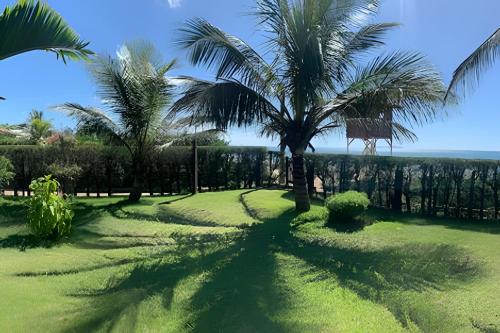 a palm tree in the middle of a grass field at Casa das Palmeiras (Pé na Areia) - Maré Verde in Rio das Ostras