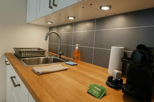 une cuisine avec un évier et un plan de travail dans l'établissement Charming apartment between beach and center of Juan-les-Pins, à Antibes