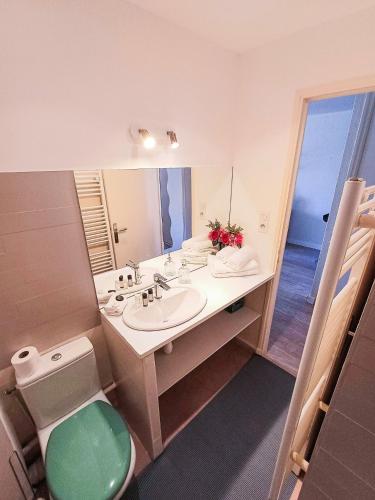 La salle de bains est pourvue de toilettes vertes et d'un lavabo. dans l'établissement Lyly Home, au Cap d'Agde
