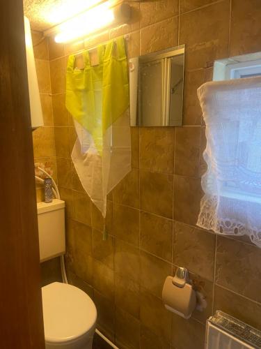a bathroom with a toilet and a tiled wall at Mini Bungalow in Mainz