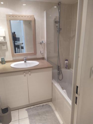 une salle de bain avec un lavabo, une douche et un miroir dans l'établissement Appartement de standing a 10 minutes à pied du palais festival, à Cannes