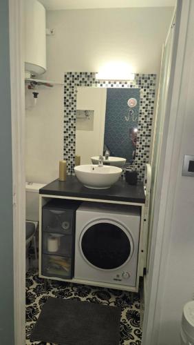 La salle de bains est pourvue d'un lavabo et d'un four micro-ondes. dans l'établissement Petit Appartement Nantais, à Nantes